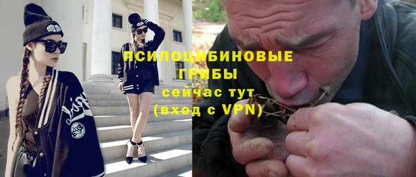 мяу мяу мука Нязепетровск