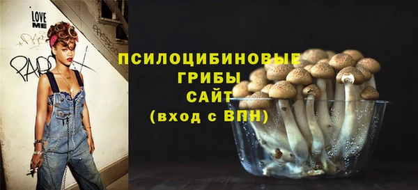 индика Няндома