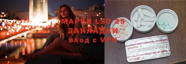 индика Няндома