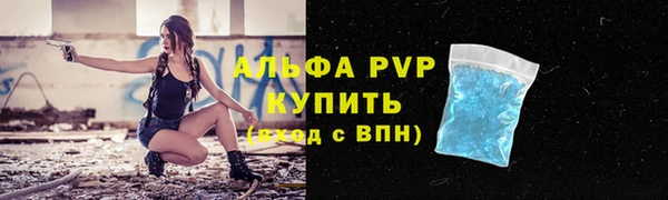 индика Няндома