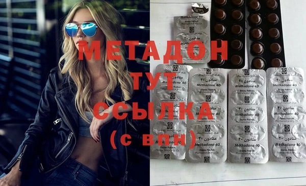 индика Няндома