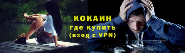 индика Няндома