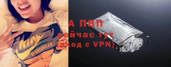 индика Няндома