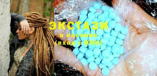 индика Няндома