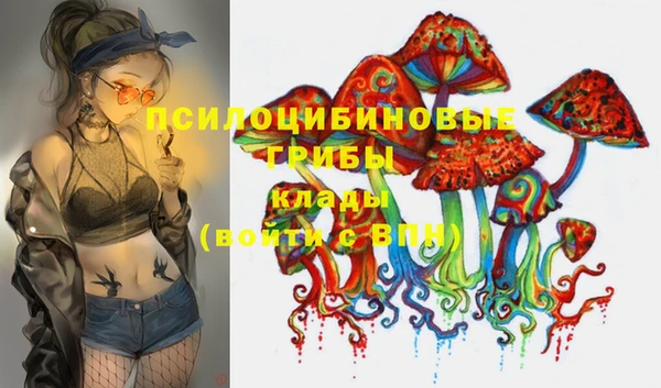 индика Няндома