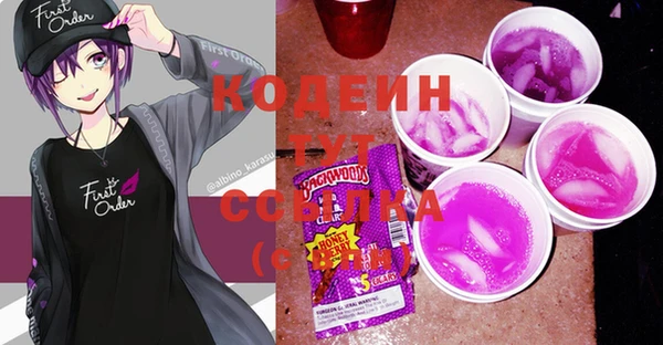 индика Няндома