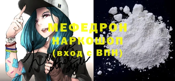 индика Няндома