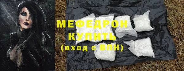 индика Няндома
