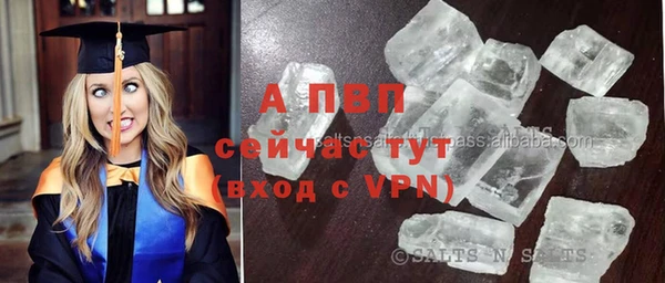 jwh Новозыбков