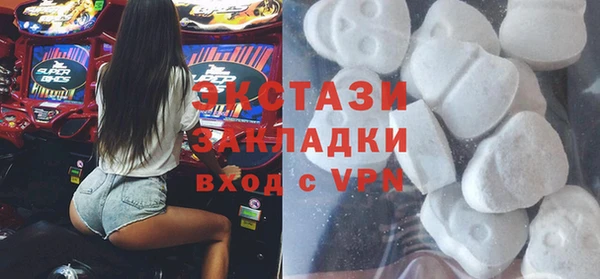 индика Няндома