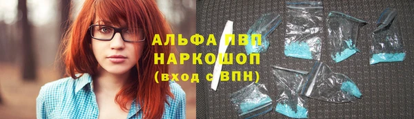 индика Няндома