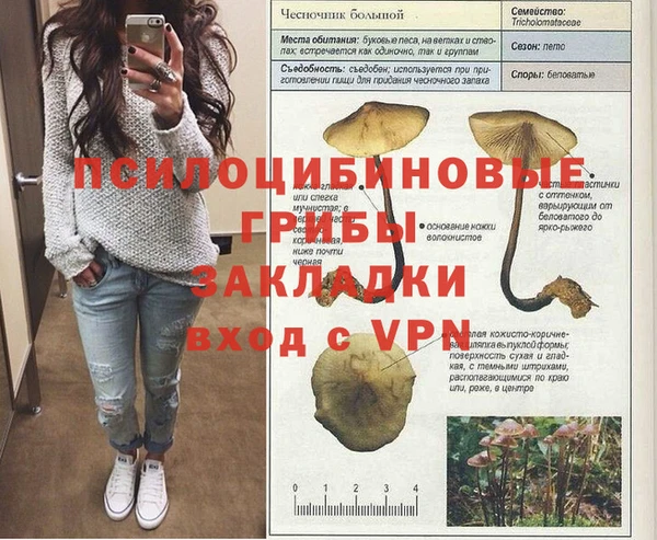 мяу мяу мука Нязепетровск