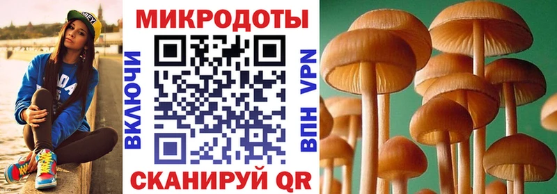 закладки  Калининск  Галлюциногенные грибы мицелий 