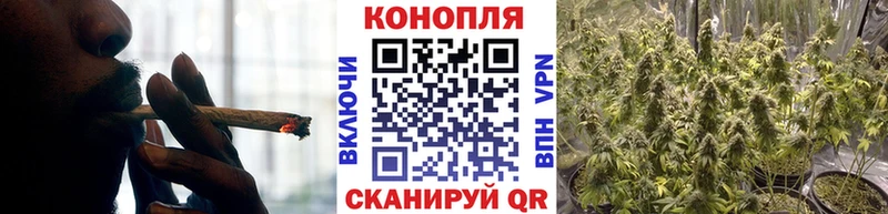 наркотики  Калининск  Шишки марихуана гибрид 