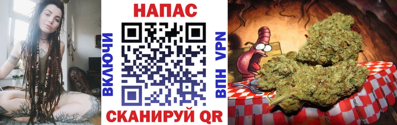 Бошки Шишки семена Калининск